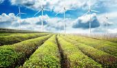 Investir dans les énergies renouvelables - solutions de placement et remarquable