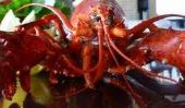 Crab vs.  Cancer?  - La différence dans la préparation