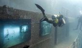 Exposition de photos sous-marine chez Artificial Reef à Florida Keys