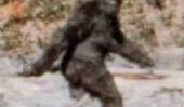 Bigfoot sur le vif et de la vidéo: 'Finding Bigfoot "Séries TV Investigates Area en Virginie Où bébé Sasquatch preuve a été filmé