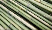 Rideau de bambou pendaison - il vous faut payer