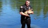 Cop Brave Sauts dans un lac pour sauver une noyade Chihuahua
