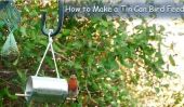 Comment faire facilement un chargeur Tin Can Oiseau