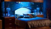 Incroyable Aquarium tête de lit