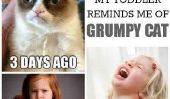 10 façons Mon enfant me rappelle Grumpy Cat