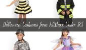 Boutique en ligne: Costumes d'Halloween de TJMaxx dessous de 25 €