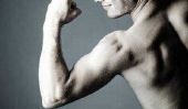 Biceps et triceps - la fonction musculaire clairement expliqué