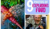 9 Photos de l'alimentation Exploding