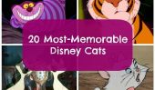 20 chats les plus mémorables de Disney Histoire