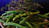 Les haricots verts - pourquoi le phasin poison disparaît pendant la cuisson