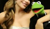 Sofia Vergara traîne avec Pitbull, Kermit et autres stars à latins Grammys!  (Photos)