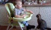 Regarder un enfant nourrir un chaton et sentir toute la gentillesse