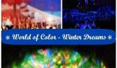 15 Superbe Instagrams du monde de Disneyland de Color Show