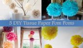 5 Tissue bricolage papier Pom Poms