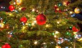 Cadres dans Word: utiliser des arbres de Noël limite - si réussit de