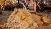 Pétition contre Hunter Melissa Bachman Grows Après Autosatisfaction Photo Avec assassiné Lion