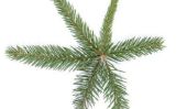 Christmas Tree Top: Star tinker - conseils et des idées pour l'artisanat avec les enfants