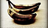 A Million bananes assassinés: The Casualties intérieures d'un parent divorcé