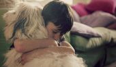 Favoriser chiens sauvés aide-moi de soulever compassion enfants