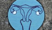 Quelle est la prochaine Utérus de Michelle Duggar?