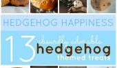 13 Adorable Hedgehog Bonbons et friandises