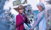 "Frozen Summer Fun Live!"  Active Hollywood Studios Disney Into Something Cool