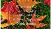 15 destinations en Amérique du Nord à voir magnifique feuillage d'automne