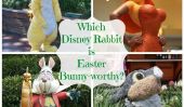 Quels Personnages Disney lapin ferait le meilleur lapin de Pâques?