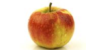 Variétés de pommes aigres - acidité et caractéristique