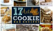 17 Bars Cookie Automne-Inspiré