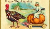 Fly High, Free Bird: ma fille et moi et notre dinde de Thanksgiving
