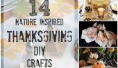 14 Nature Inspiré Thanksgiving bricolage Artisanat