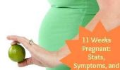 11 semaines de grossesse: Statistiques, les symptômes, et un Pic