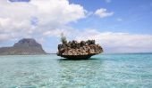 Plongée en apnée à l'île Maurice - Les choses à faire