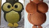 Cake Cute Owl bricolage