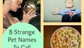 8 étranges Pet Names Pour appeler votre homme