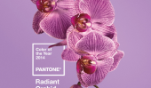 Couleur de Pantone de l'année est Orchid Radiant