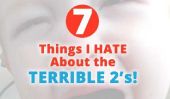 7 choses que je déteste propos le Terrible Twos