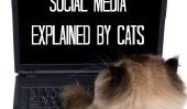 Expliqué médias sociaux par les chats