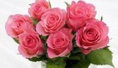 Signification des couleurs de rose - si vous payer le droit bouquet de roses
