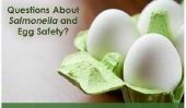 New Salmonella liste de rappel Egg - Etes Votre oeufs en sécurité?