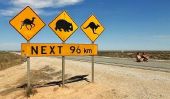 La route longue et Lonely Eyre: La plus longue route droite de l'Australie