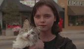 10 Things I Learned From 'That Darn Cat'