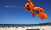 Festival des Vents: Sydney Kite Festival