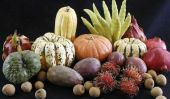 Un guide pour les Fruits cherchez plus effrayants de Halloween