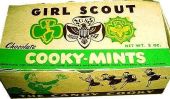 Le Girl Scout Cookie Box refonte!  Plus un regard rétrospectif sur Designs passées (Photos)