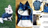 DIY Pet Coat Motif