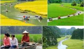 Montagnes karstiques et les rizières de Tam Coc, Vietnam