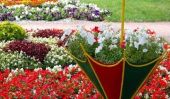 Colorful Backyard Idées de décoration avec des parasols et Fleurs