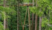 Longest Tree Top Walk monde en Bavière